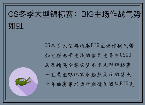 CS冬季大型锦标赛：BIG主场作战气势如虹