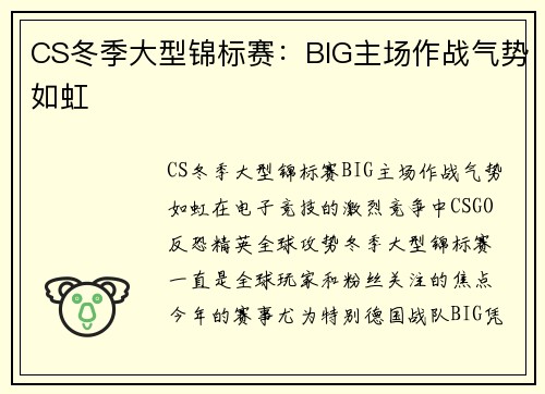 CS冬季大型锦标赛：BIG主场作战气势如虹