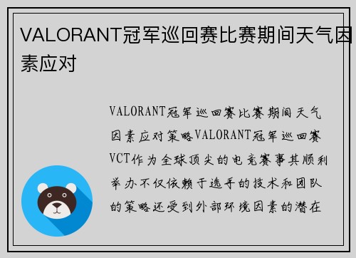 VALORANT冠军巡回赛比赛期间天气因素应对