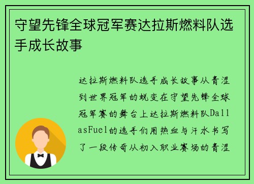 守望先锋全球冠军赛达拉斯燃料队选手成长故事