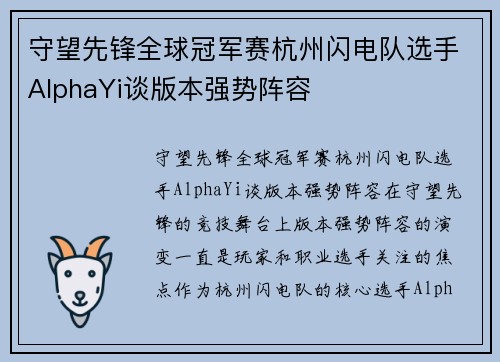 守望先锋全球冠军赛杭州闪电队选手AlphaYi谈版本强势阵容